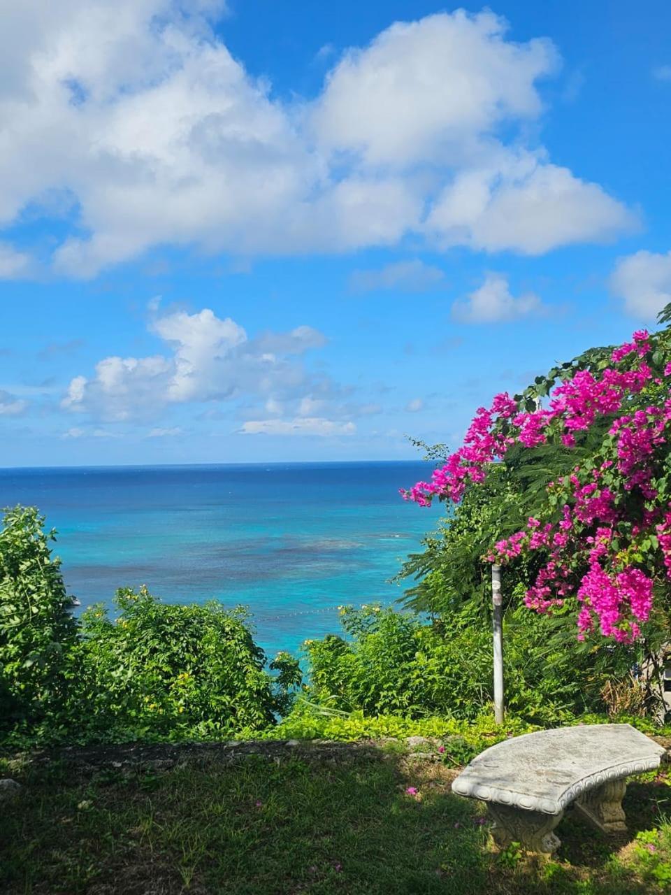 Montego Bay Club Apartments Buitenkant foto